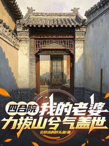 四合院：我的老婆力拔山兮气盖世